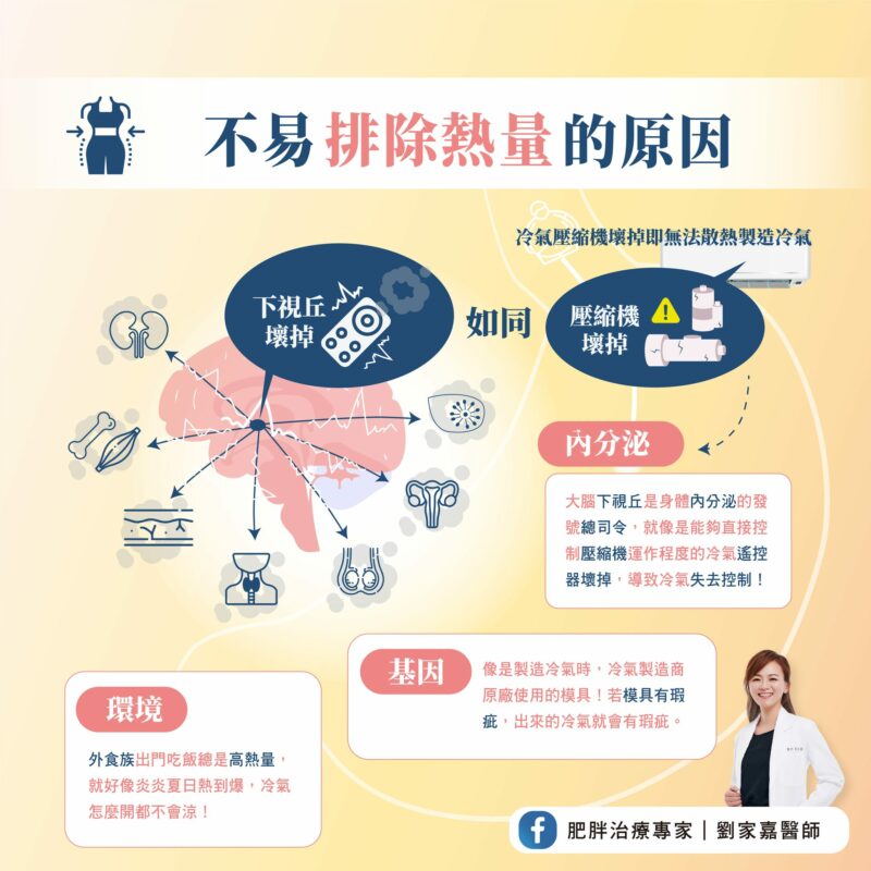 肥胖體質 原因