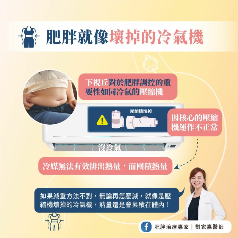 肥胖體質 壞掉冷氣機