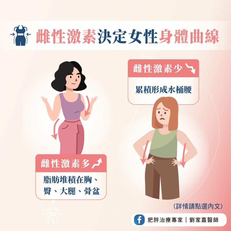 體重管理 雌性激素