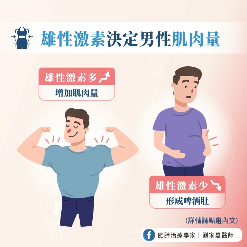 體重管理 雄性激素