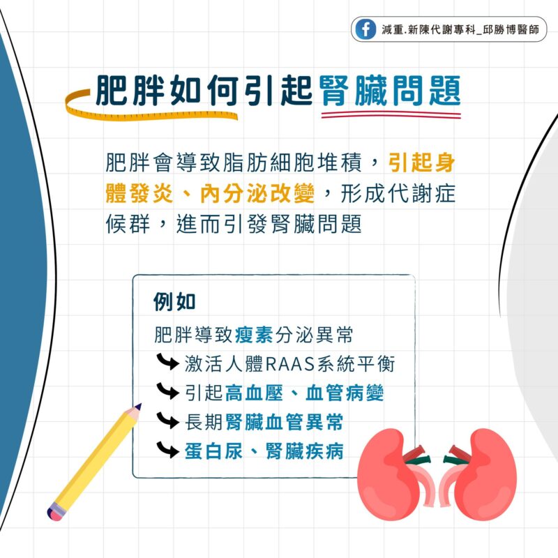 代謝症候群 原因