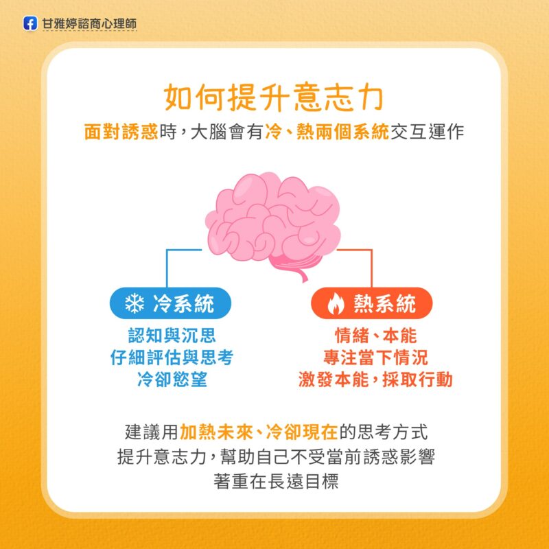 棉花糖實驗 提升意志力