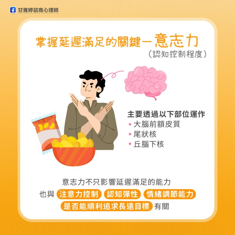 棉花糖實驗 意志力