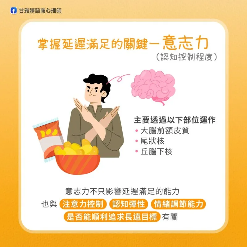 棉花糖實驗 意志力