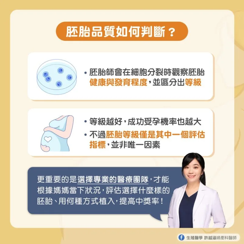 試管嬰兒 胚胎品質
