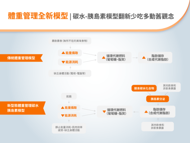 體重管理模型