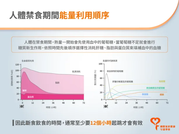 禁食能量利用順序